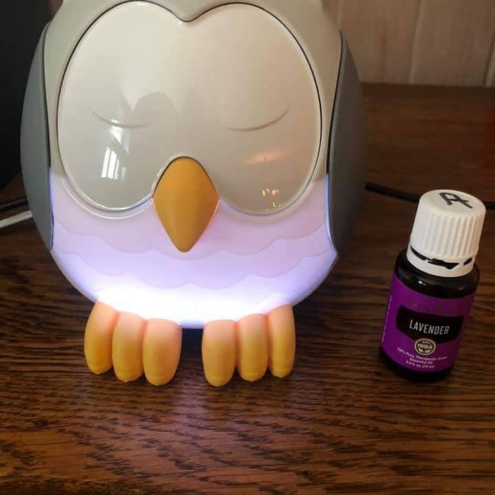 Oil diffuser feather the owl - Picture 2 of 3